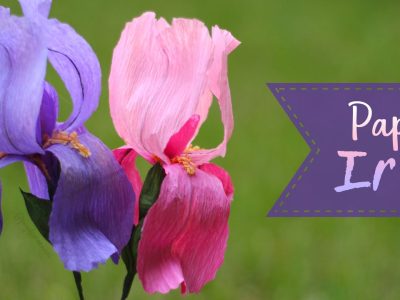 Crepe Paper Iris Flower Tutorial