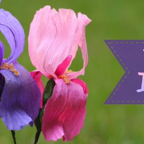 Crepe Paper Iris Flower Tutorial