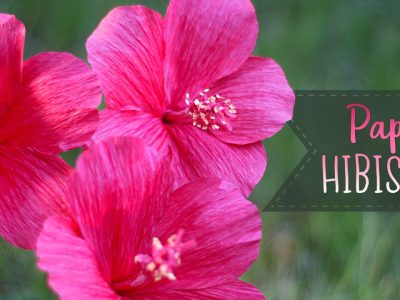 Crepe Paper Hibiscus Flower Tutorial