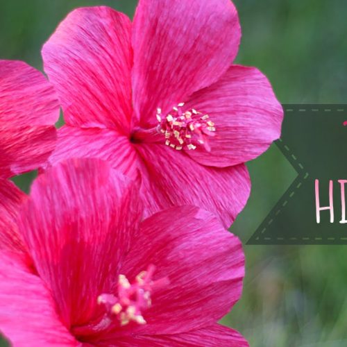 Crepe Paper Hibiscus Flower Tutorial