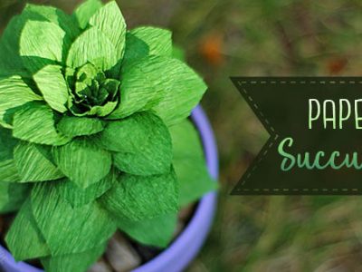 Crepe Paper Succulent Tutorial